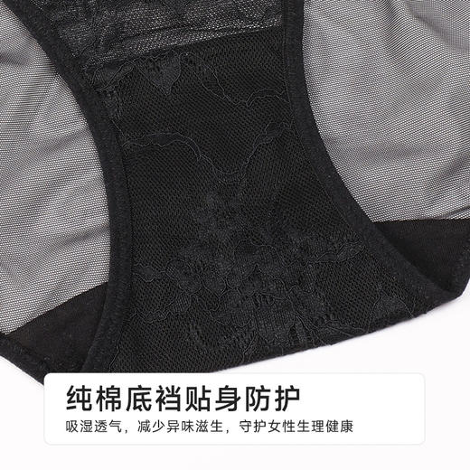 都市丽人薄透丝滑蕾丝网布系列蕾丝三角裤LKH3A9 商品图7