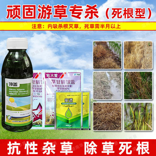 顽固游草专杀套餐草甘膦铵盐稻李氏禾专杀耕前除草死根型除草剂 商品图2