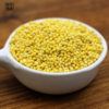 有机大黄米 （黍米） 放心粮 一份2kg 商品缩略图3