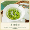 【2026年新茶现货】茶马世家丨明前头采 恩施玉露 绿茶  特级 50g 罐装  商品缩略图6