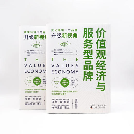 价值观经济与服务型品牌：变化环境下的品牌升级新视角 商品图8