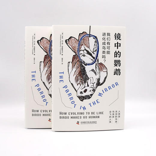 镜中的鹦鹉：我们有可能进化成鸟类吗？（精装典藏版） 商品图6