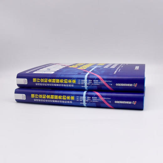 银行业和金融服务的未来：如何抓住机会应对颠覆性创新和挑战（精装典藏版） 商品图6