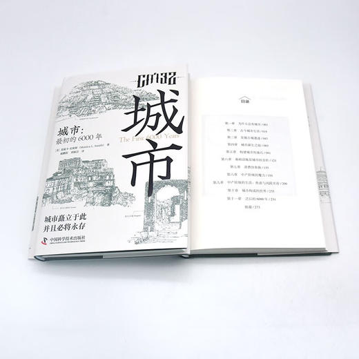 城市：最初的6000年（精装典藏版） 商品图8
