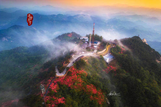4.25春摄大别山——麻城龟峰山杜鹃花海•薄刀锋风光•天马寨五彩杜鹃5天 商品图9