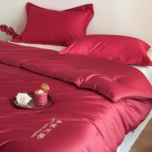 自然醒吾家有喜60支长绒棉刺绣婚嫁被轻奢新婚喜被20%蚕丝蛋白红色春秋被结婚床上冬加厚（配送婚庆大红手提袋）TD 商品图5