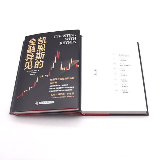 凯恩斯的金融异见 商品图9