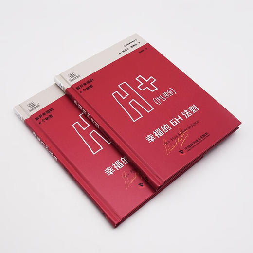 德博诺创新思考：幸福的6H法则 世界创新思维之父爱德华德博诺经典著作（精装典藏版） 商品图4