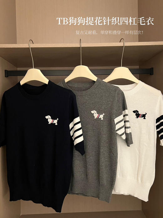TB狗狗提花针织四杠毛衣 商品图4