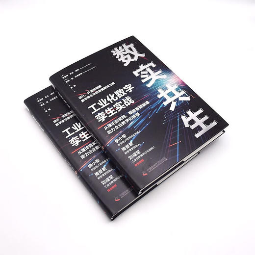 数实共生：工业化数字孪生实战（精装典藏版） 商品图4