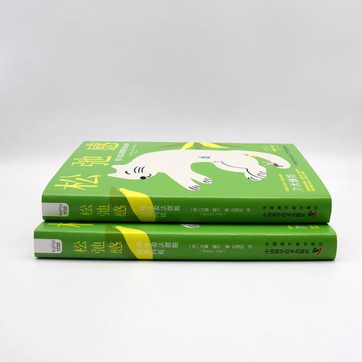 松弛感 : 用丰盈法摆脱自我内耗 商品图6