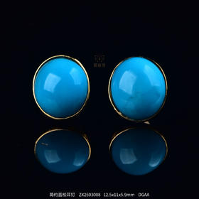 【蔚来】简约蓝松耳钉ZX2503008