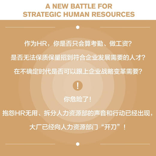 战略人力资源新实战 : 从事务型HR向业务型HR转型 商品图2