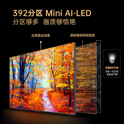 65英寸 AI-LED 艺术壁纸电视 65G9W 商品图4