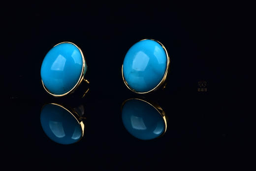 【蔚来】简约蓝松耳钉ZX2503008 商品图1