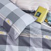 路易卡罗典雅纯棉四件套---蒙可 200*230cm 商品缩略图3