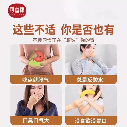 可益康铁棍山药粉280g 商品图5