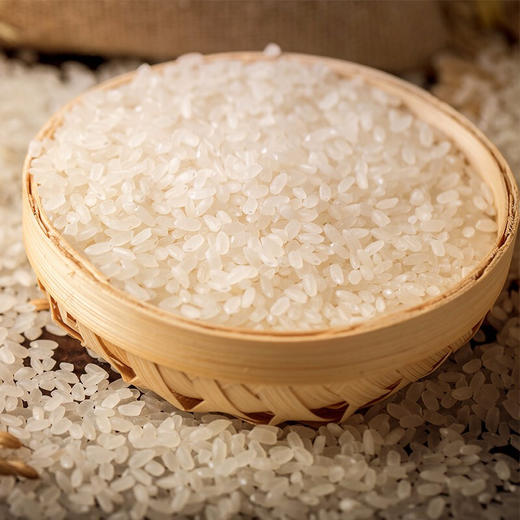 津沽香津越之光两面体2.5kg  高品质圆粒米 商品图2