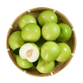 苹果枣 约500g /份