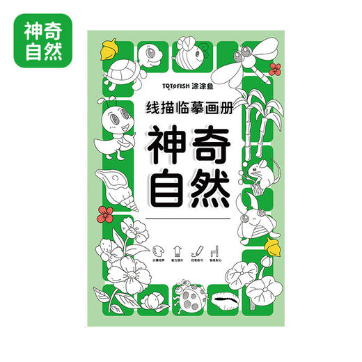 「6本装！幼儿线描临摹画册」儿童卡通简笔画线稿绘画描线控笔涂色本图画本玩具 商品图4