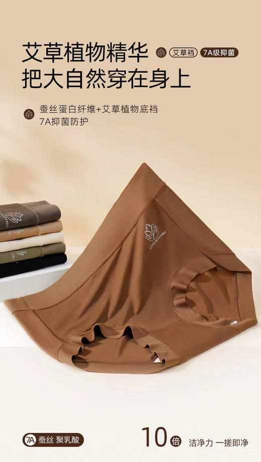 ADY2607艾草养护肌底裤 商品图3