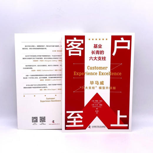 客户至上：基业长青的六大支柱  毕马威“六大支柱”模型升级版 商品图6