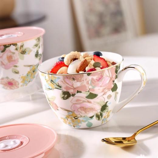 nosin诺轩早餐杯子燕麦杯陶瓷泡麦片田园风大容量马克杯带盖水杯诺轩骨瓷野玫瑰早餐杯 商品图1