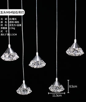 5头M64钻石灯串（运费自理）