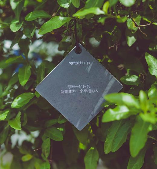 车载香薰卡 | 清新熏香 商品图3