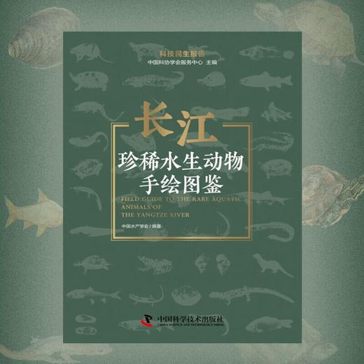 长江珍稀水生动物手绘图鉴  科技民生报告 商品图4