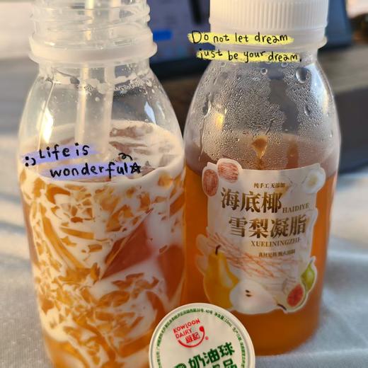纯手工海底椰雪梨凝脂 约250ml 商品图3