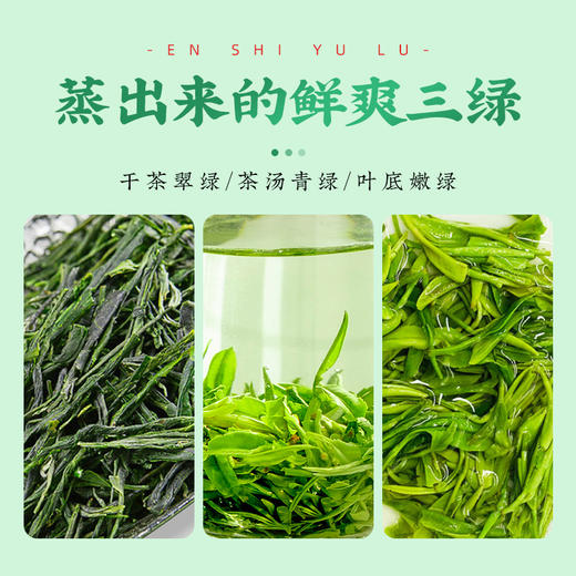 【2026年新茶预售】茶马世家丨茶马世家 恩施玉露 游龙礼盒 绿茶 一级 108g 湖北恩施 非遗技艺  2025年新茶，新茶预计4月15日发货 商品图2