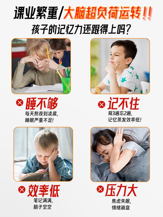 忘不了3A脑营养 学生上班族记忆专注力补充 DHA EPA青少年成人高纯鱼油 商品图2
