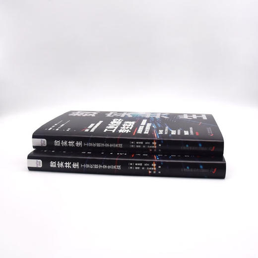 数实共生：工业化数字孪生实战（精装典藏版） 商品图5