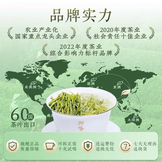 【2026年新茶预售】狮峰丨安吉白茶 绿茶 明前精品 100g  纸包 2026年新茶，新茶预计4月10日发货 商品图3