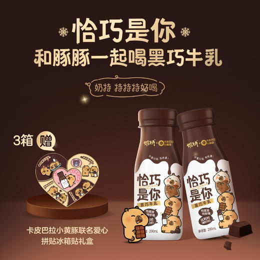 【奶特X卡皮巴拉小黄豚】奶特黑巧牛乳黑巧味全脂调制乳PET瓶200ml×15瓶 商品图2