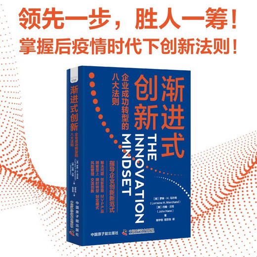渐进式创新：企业成功转型的八大法则 商品图0