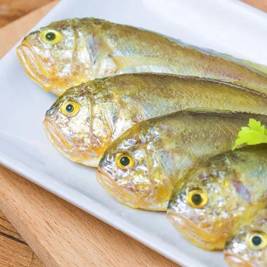【康在此】黄海野生新鲜梅童鱼 大头宝 肉质细腻鲜嫩 入口即化 零冰衣发货 商品图10