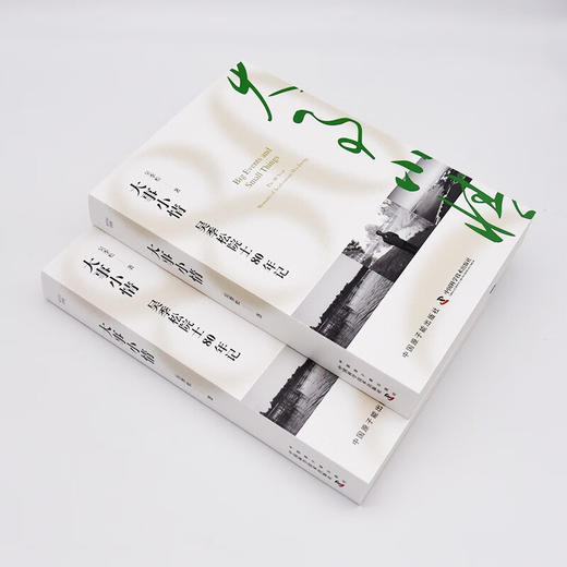 大事小情：吴季松院士80年记 商品图5