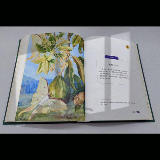 至美邱园·馆藏手绘植物图谱（观赏类） 商品图6