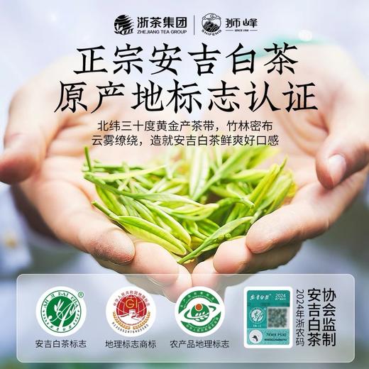 【2026年新茶预售】狮峰丨安吉白茶 绿茶 明前精品 100g  纸包 2026年新茶，新茶预计4月10日发货 商品图2