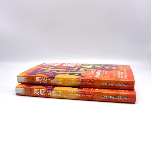 酒瘾：人们为何饮酒，人们如何改变 商品图6