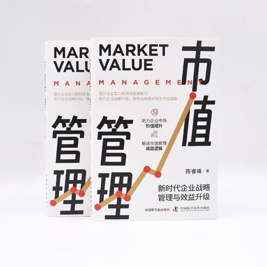 市值管理：新时代企业战略管理与效益升级 商品图7