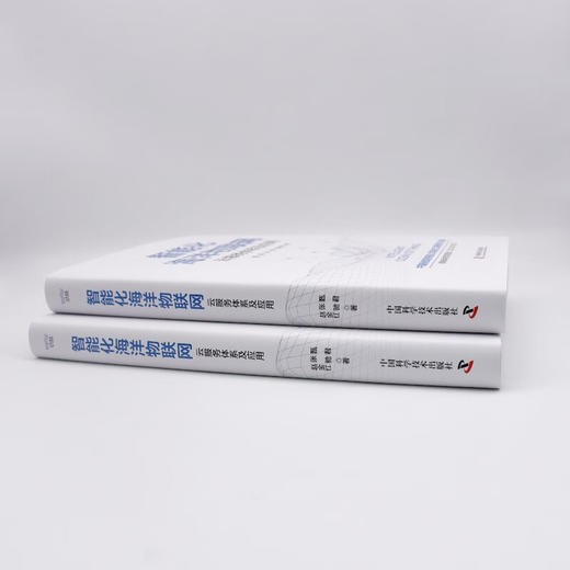 智能化海洋物联网：云服务体系及应用（精装典藏版） 商品图5