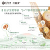 可复美秩序精华稀有人参皂苷致研控油修护舒缓保湿精华液5mL/瓶 商品缩略图3