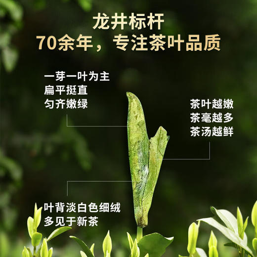 【1件包邮】中茶中茶纸包龙井特级200g/025717 鲜爽甘甜齿颊留芳 甘肃/青海/内蒙古/新疆/西藏/宁夏/海南/港澳台不发货 商品图2