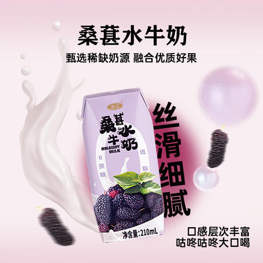 【分仓直发包邮】左江桑葚水牛奶210ml*10盒/箱 商品图1
