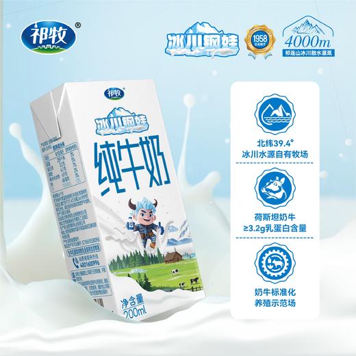 [屁侠推荐] 有奶皮子的祁牧·冰川钢娃纯牛奶生牛乳 进口荷斯坦奶牛 奶香浓厚蛋白含量卓越 商品图2