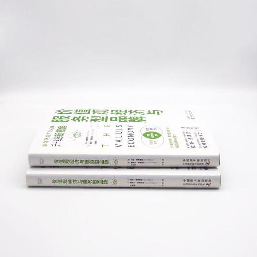 价值观经济与服务型品牌：变化环境下的品牌升级新视角 商品图7