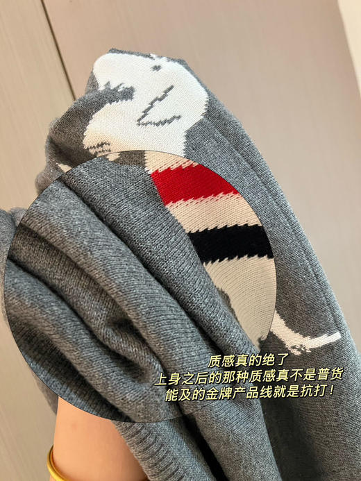 TB狗狗提花针织四杠毛衣 商品图13